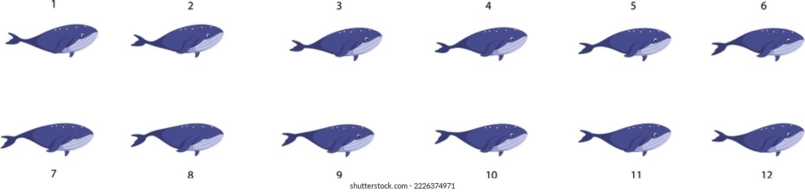 Animación con marco de ballena, natación bajo el agua.