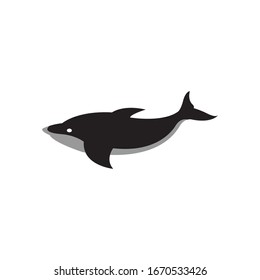 Whale graphic design template vector isolated