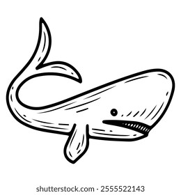 Whale hand drawn doodle. Sea animal. Sperm whale, humpback, blue.. Cetacean fish mammal. Ocean nature. Underwater fauna. Vector line art illustration.