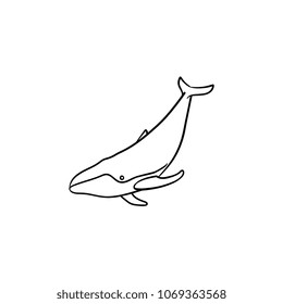 Whale hand drawn outline doodle icon. Marine animal - whale vector sketch illustration for print, web, mobile and infographics isolated on white background.