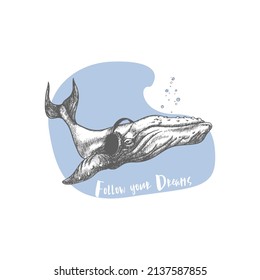 Whale in headphones. Vector illustration of animal. Motivational quotes follow your dream