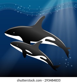 Whale and her calf swimming in the ocean vector illustration