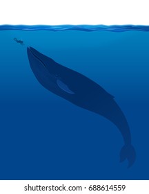 The Whale And Human
