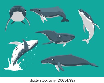 Whale Humpback Various Poses Cartoon Cute Vector