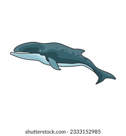 Whale-Buckelwal-Vektorsymbol.Farbe, Vektorsymbol einzeln auf weißem Hintergrund, Wal-Buckelwal.