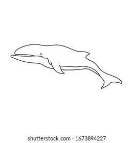 Whale humpback vector icon.Outline vector icon isolated on white background whale humpback .
