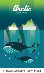 Whale and iceberg. Arctic Aurora nature. flat design elements. vector illustration