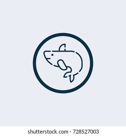 Whale icon