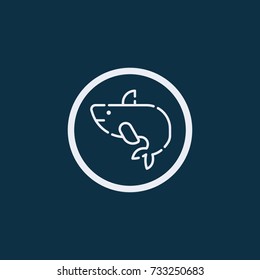 Whale icon