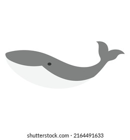 whale icon design template vector illustration