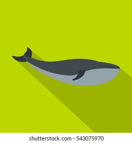 Whale icon. Flat illustration of whale vector icon for web