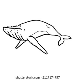 Whale icon. Hand drawn vector illustration.