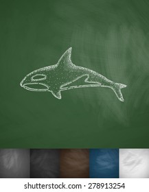 whale icon. Hand drawn vector illustration. Chalkboard Design