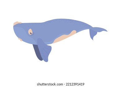 whale icon isolated white background