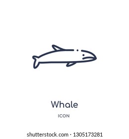 whale icon from nautical outline collection. Thin line whale icon isolated on white background.