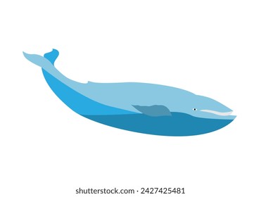 Whale icon on white background.