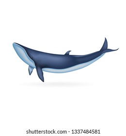 Whale icon. Realistic illustration of whale vector icon for web design isolated on white background