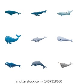 Whale icon set. Cartoon set of 9 whale vector icons for web design isolated on white background