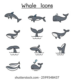 Whale icon set in colorline style