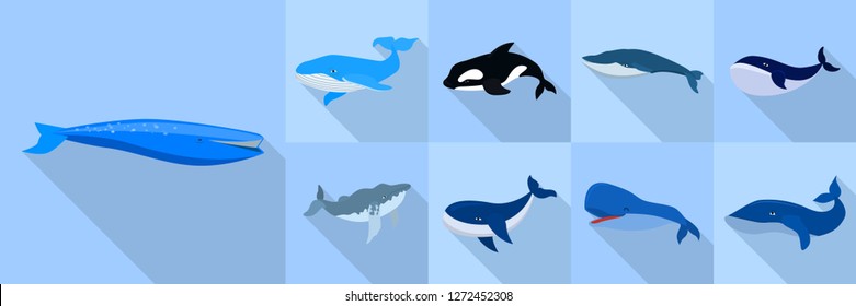 Whale icon set. Flat set of whale vector icons for web design