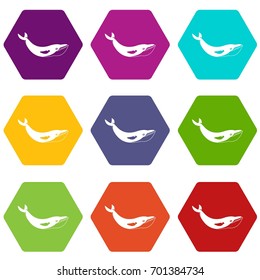 Whale icon set many color hexahedron isolated on white vector illustration