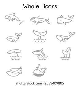 Whale icon set in thin line style