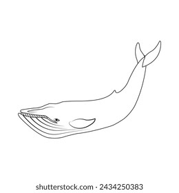 Whale icon vector illustration simple design