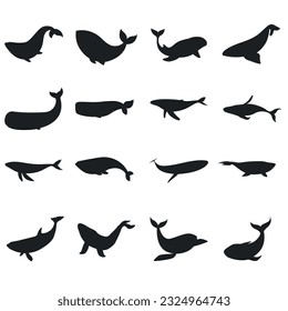 Whale icon vector set. Sperm whale illustration sign collection. Fish symbol. Ocean logo.