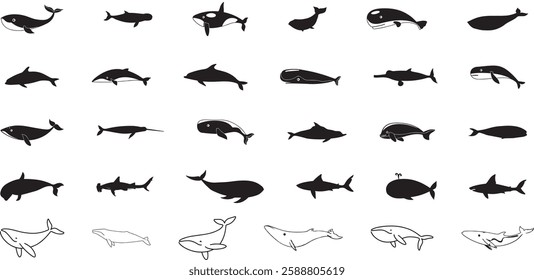 Whale icon vector set. Sperm whale illustration sign collection. Fish symbol. Ocean logo.