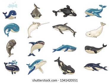 Whale icons set. Cartoon set of whale vector icons for web design