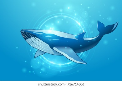 Whale illustration