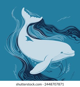 Whale illustration with basic details