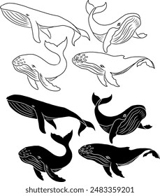 Whale illustration on white background.Hand drawn whale vector for elements on children book or coloring.Sticker printing on paper.