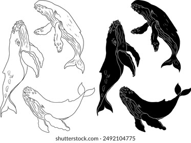 Whale illustration on white background.Hand drawn whale vector for elements on children book or coloring.Sticker printing on paper.