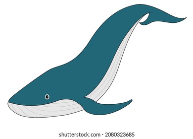 Whale image on white background work vector design.