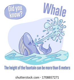 Whale. Interesting facts about sea animals. Did you know?