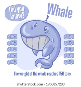Whale. Interesting facts about sea animals. Did you know?