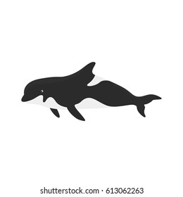 Whale isolated vector
