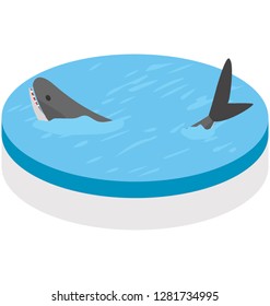Whale, isometric vector icon, 
