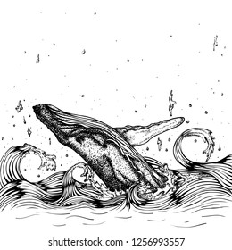 Whale jumping out of the sea waves. Vector hand drawn illustration. Monochrome drawing isolated on white background