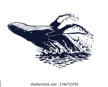 Whale jumping from the water. Vector illustration.