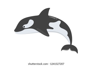 Whale killer of black and white color. Marine creature. Ocean or sea mammal. Isolated flat vector illustration