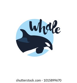 whale killer in water. orca in swimming pool. logo of killer whale. flat orca for poster or icon. whale killer in swimming pool. whale killer on pastel texture. grampus