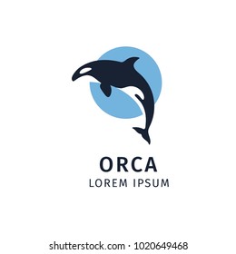 whale killer in water. orca in swimming pool