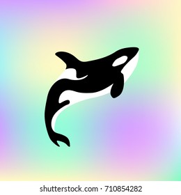 whale killer in water. orca in swimming pool. logo of killer whale. flat orca for poster or icon. whale in swimming pool. whale on pastel texture