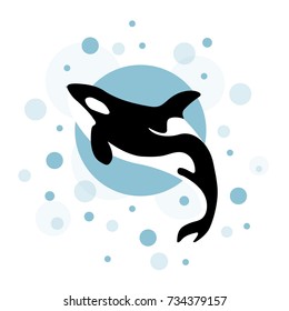 whale killer in water. orca in swimming pool. logo of killer whale. flat orca for poster. whale killer in swimming pool. whale for icon