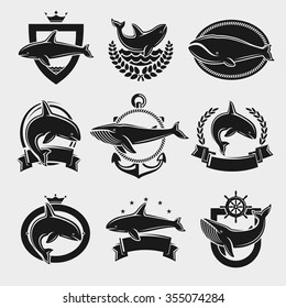 Whale label and icons set. Vector 