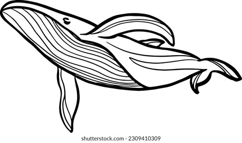 Whale. Line art vector illustration. Sea and ocean animals, modern minimalist outline icon. Hand drawn vector design for wallpaper, textile, print, invitations.
