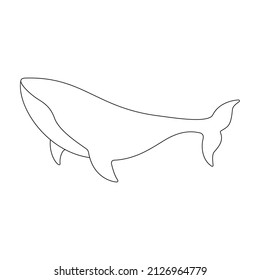 Whale line drawing character. Sperm whale linear animal. Vector isolated on white. 