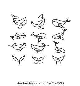 whale line logo icon designs
